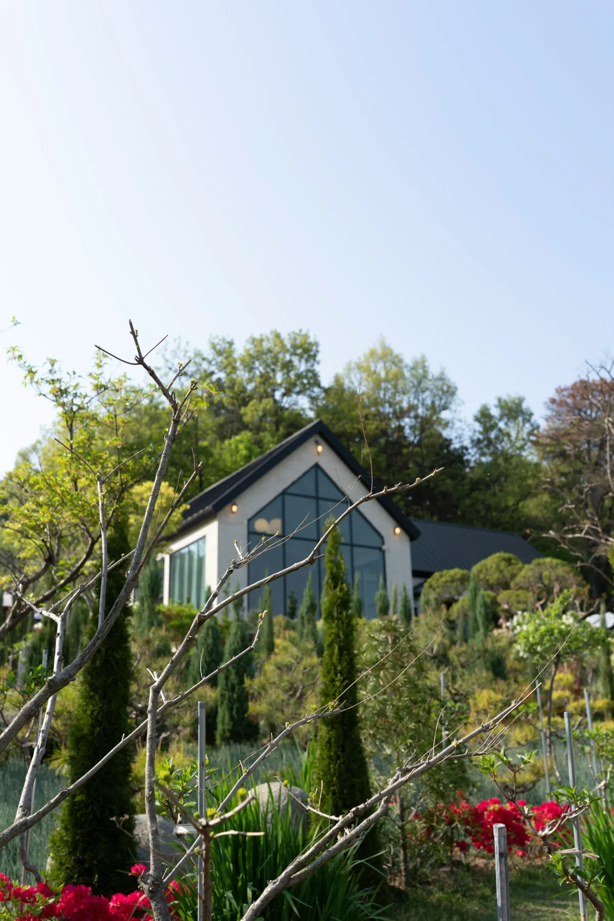 Maison contemporaine entourée d’arbres et de végétation